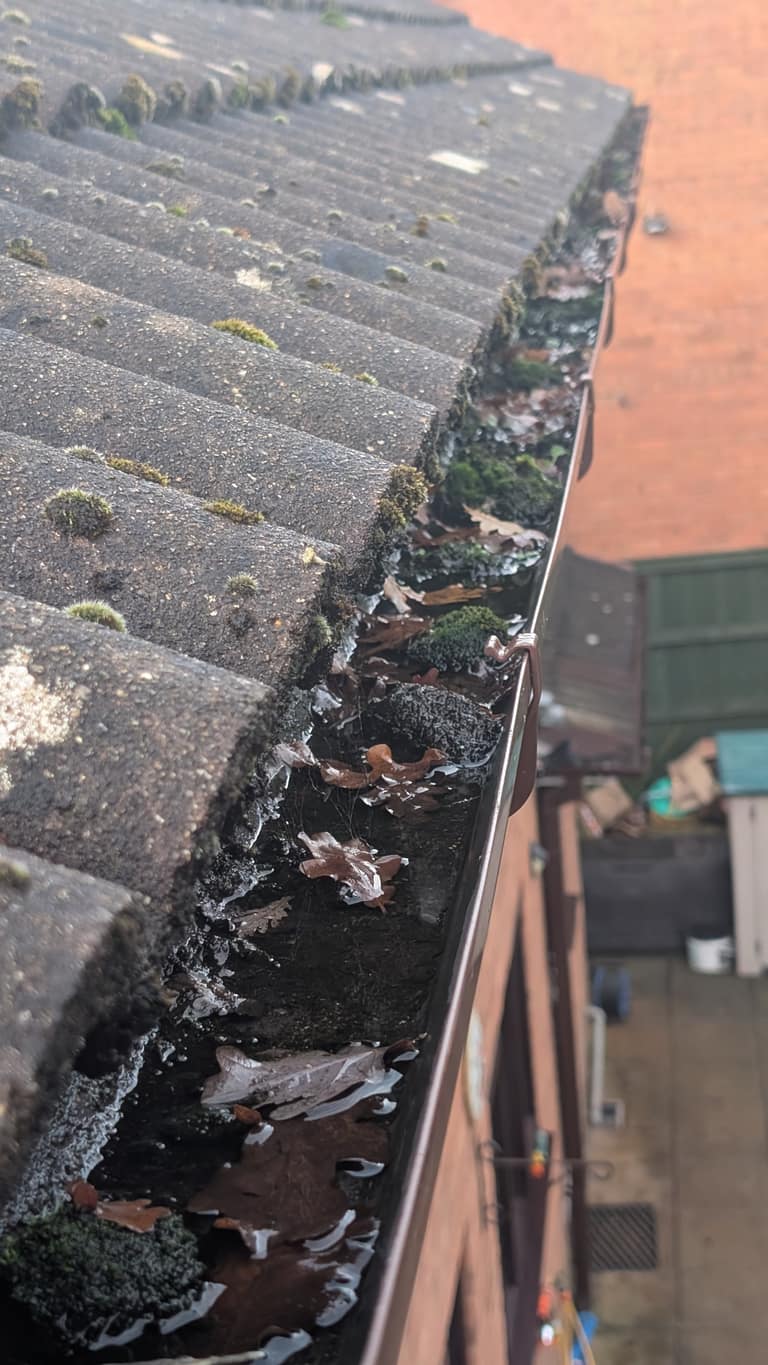 Gutter Cleaning job 1 — before