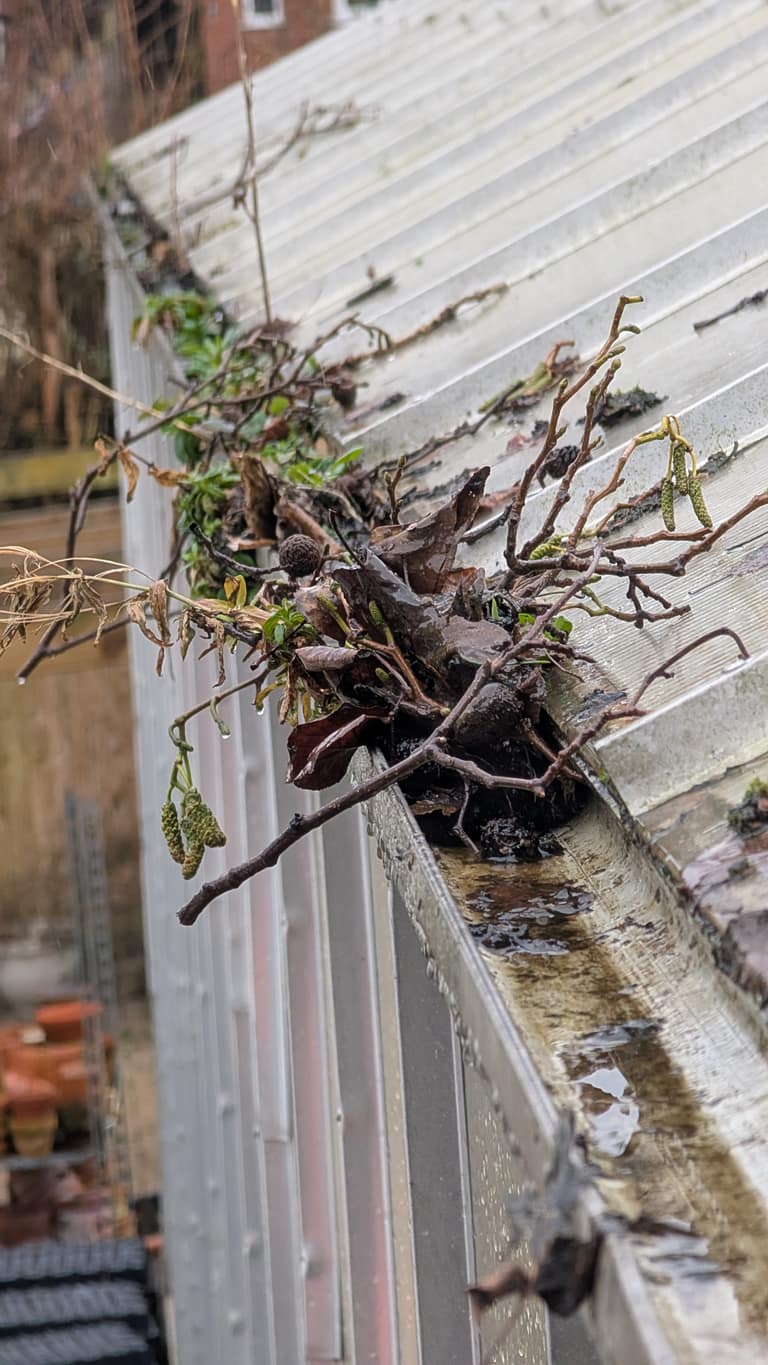 Gutter Cleaning job 9 — before