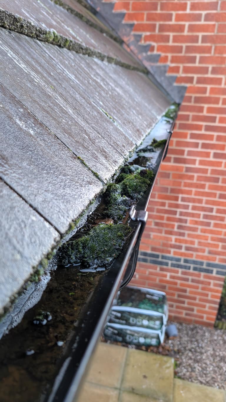 Gutter Cleaning job 2 — before