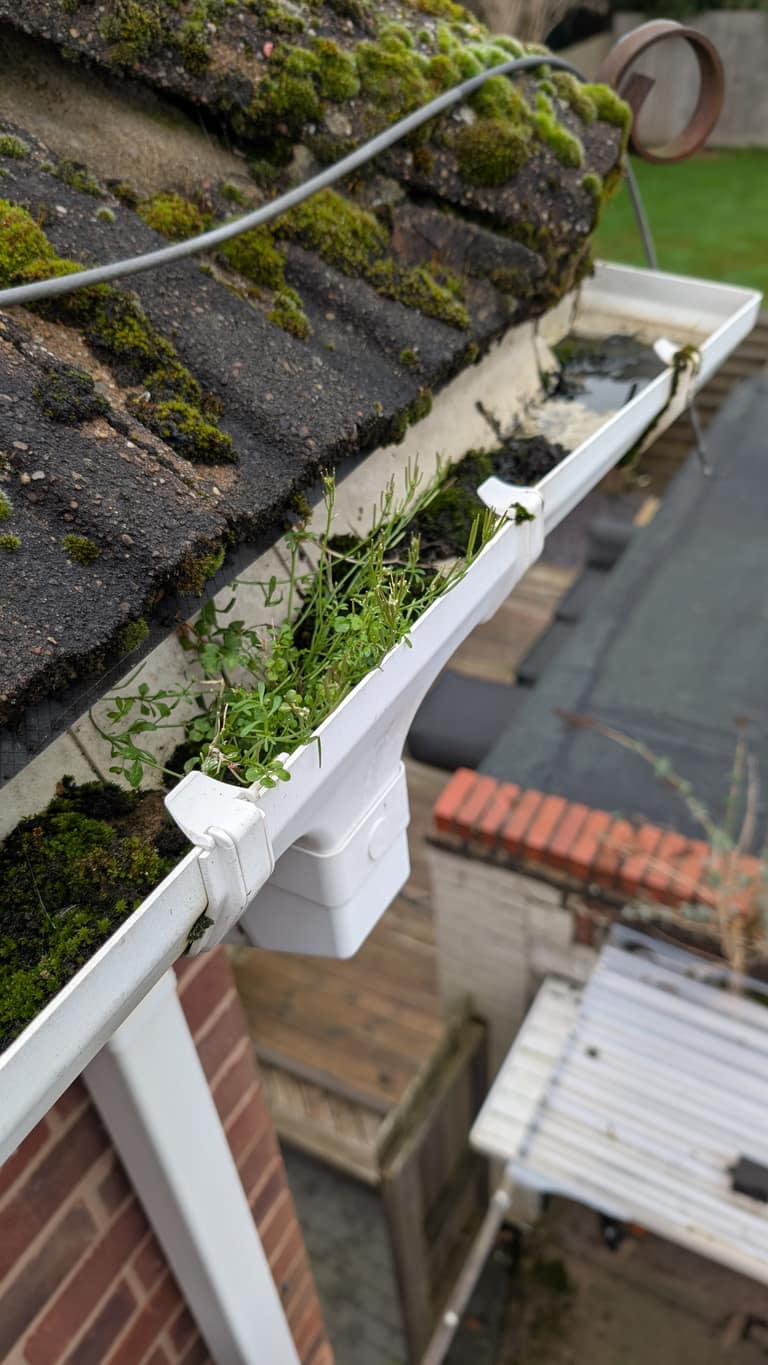 Gutter Cleaning job 3 — before