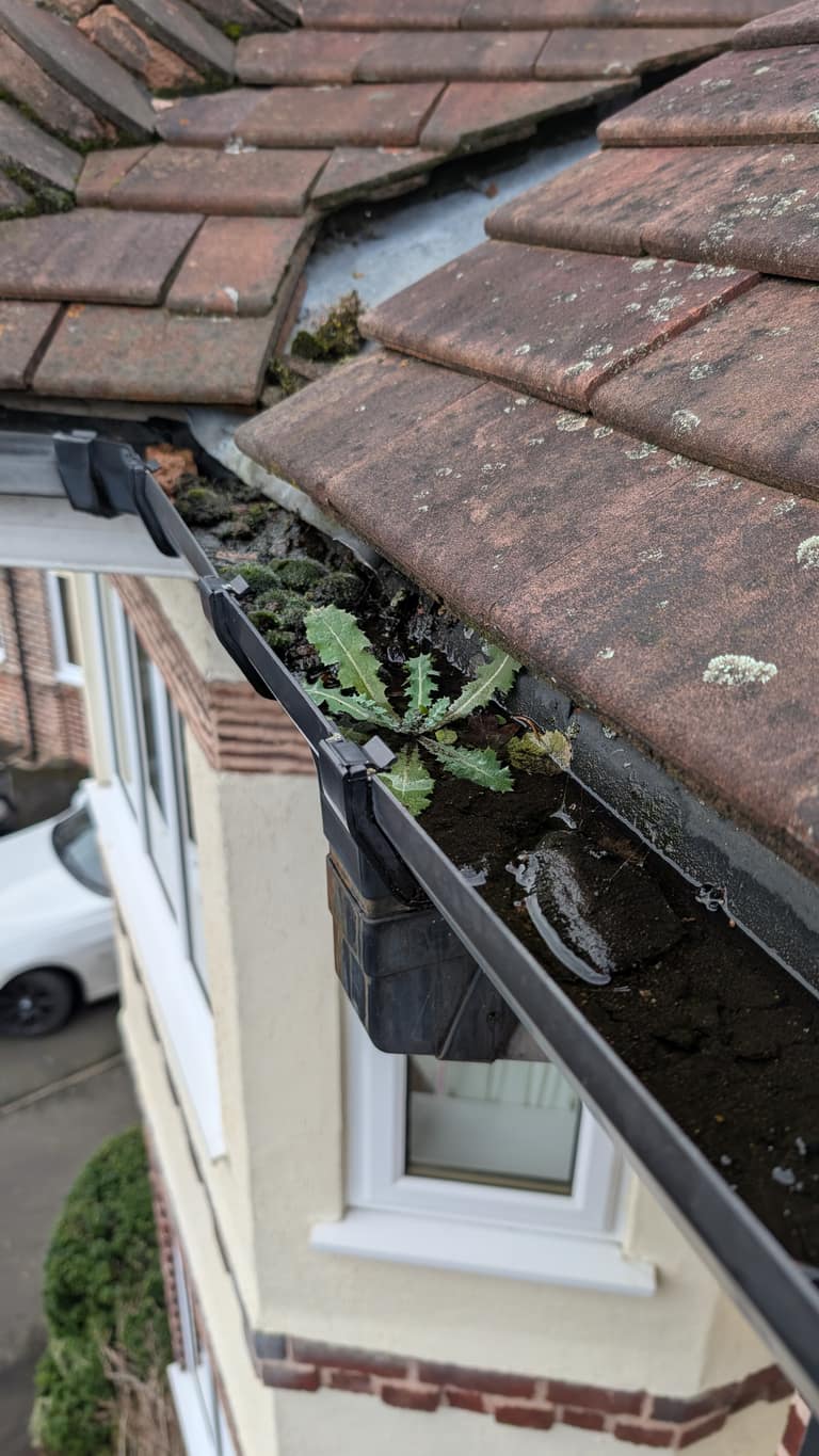 Gutter Cleaning job 5 — before
