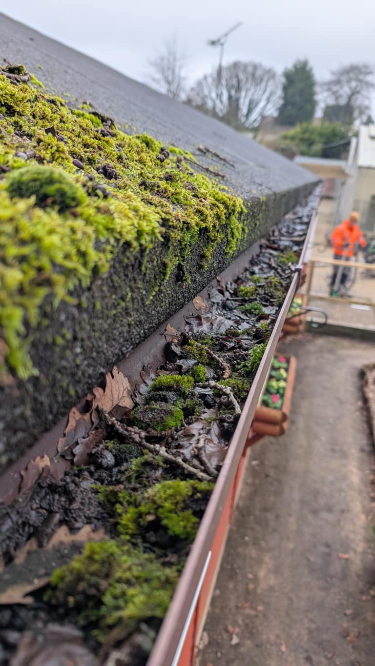 Gutter Cleaning job 6 — before