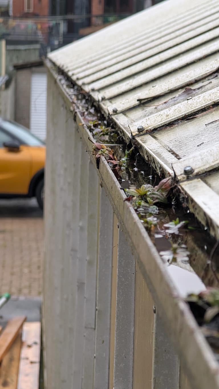Gutter Cleaning job 7 — before