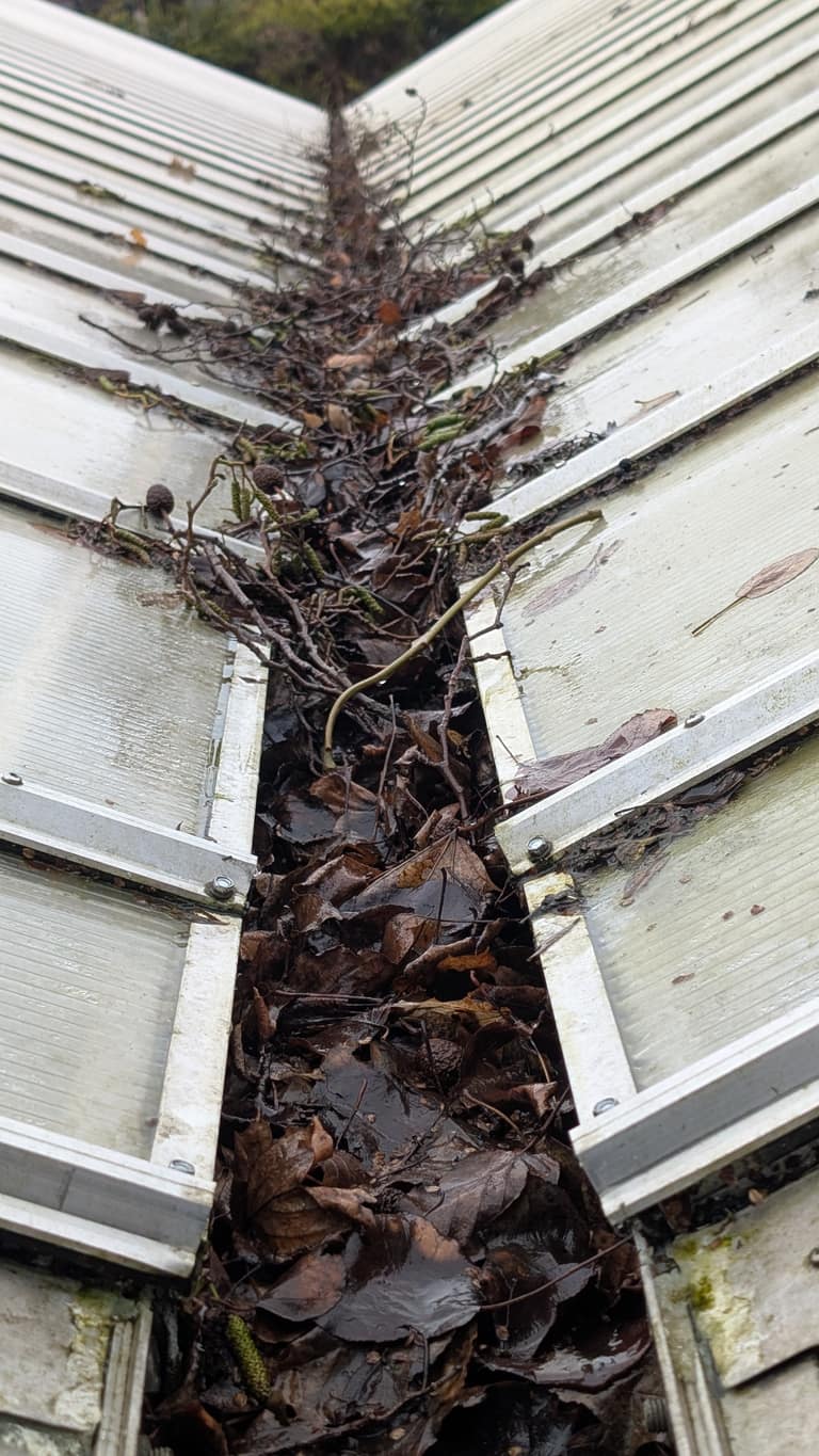 Gutter Cleaning job 8 — before