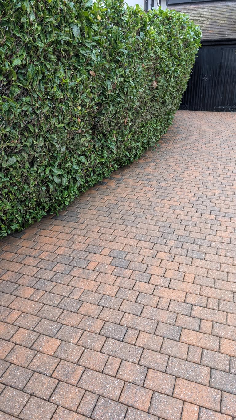 Pressure Washing job 14 — after