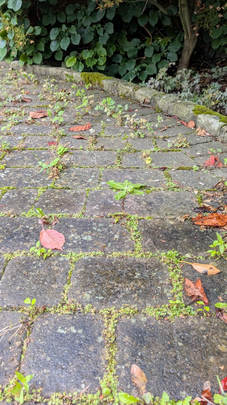 Pressure Washing job 13 — before