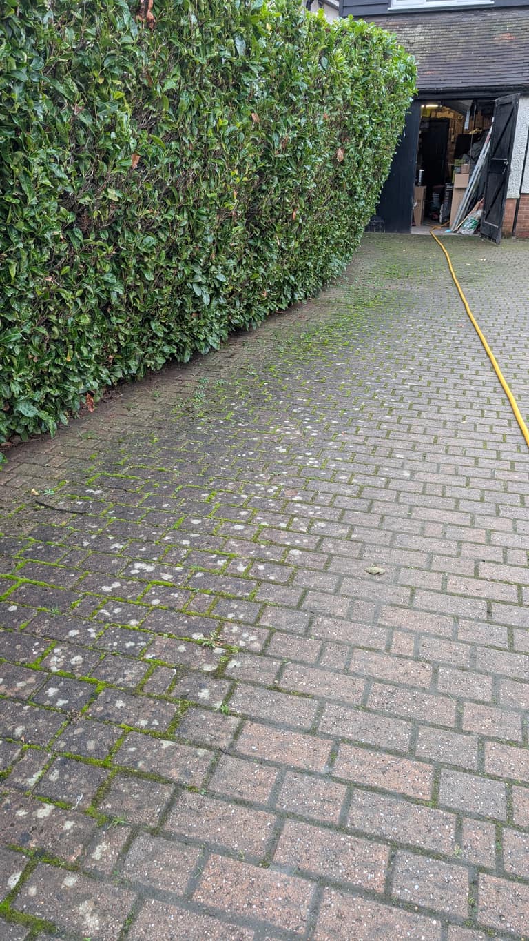 Pressure Washing job 14 — before