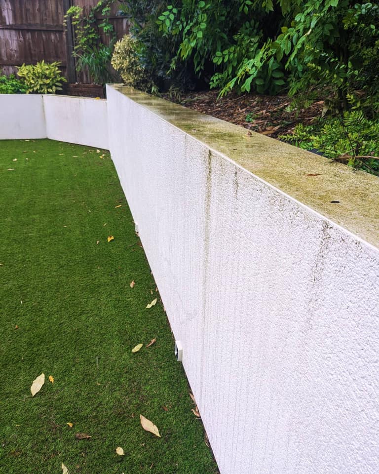 Pressure Washing job 3 — before