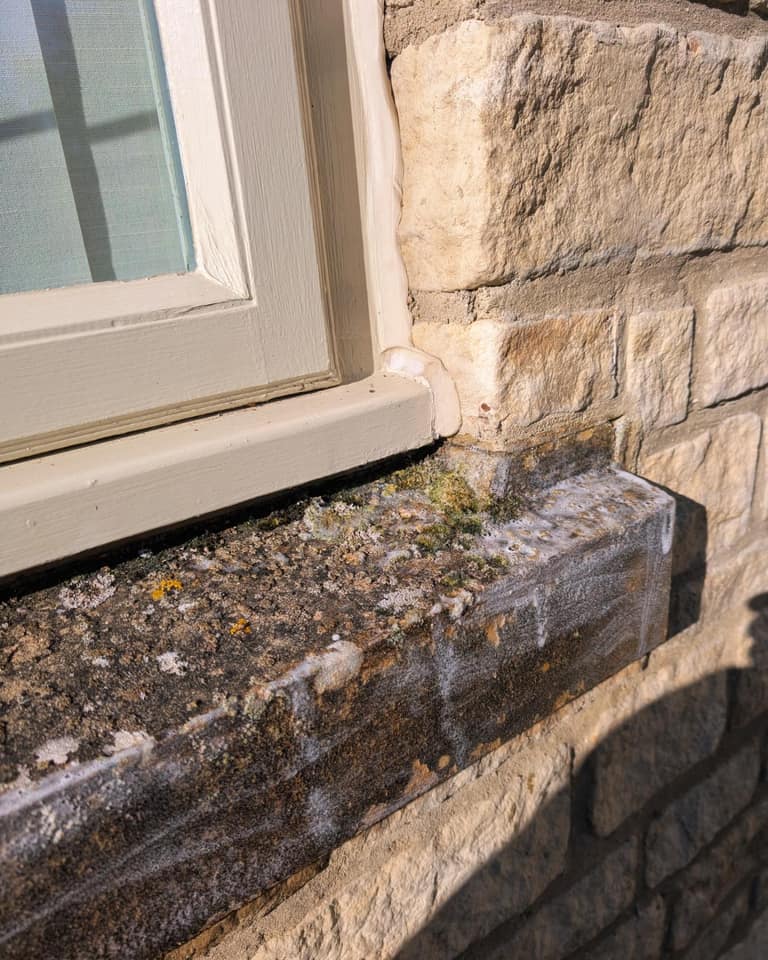 Pressure Washing job 5 — before