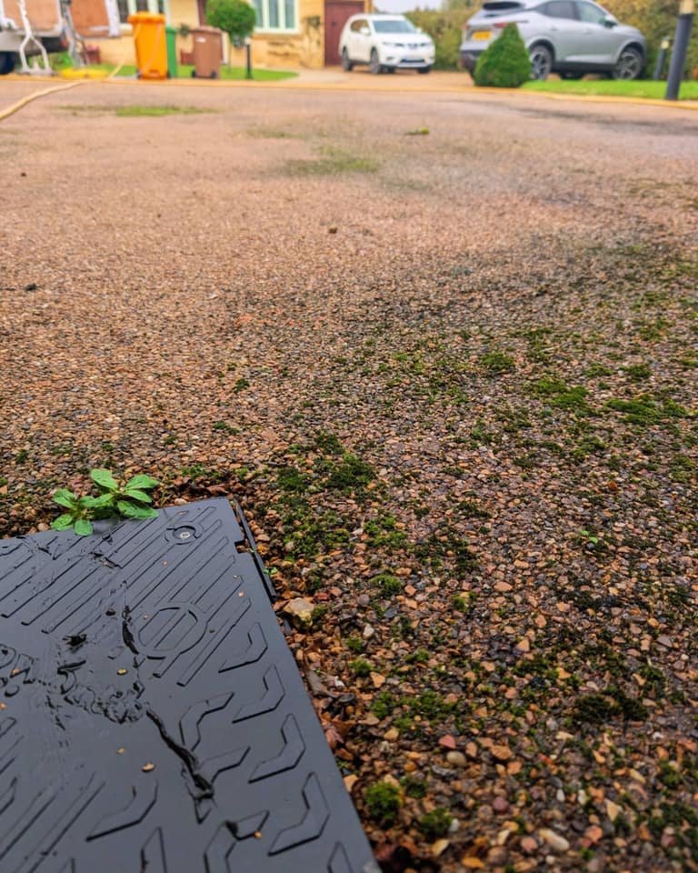 Pressure Washing job 6 — before